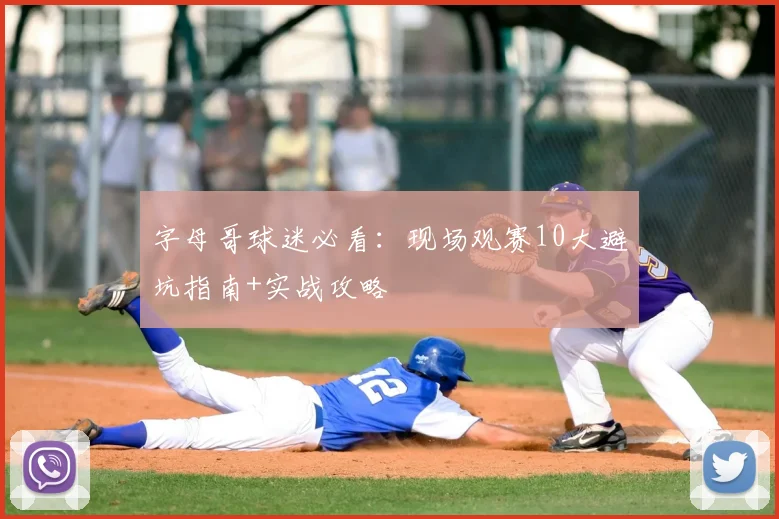 字母哥球迷必看:现场观赛10大避坑指南+实战攻略